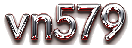 vn579 logo